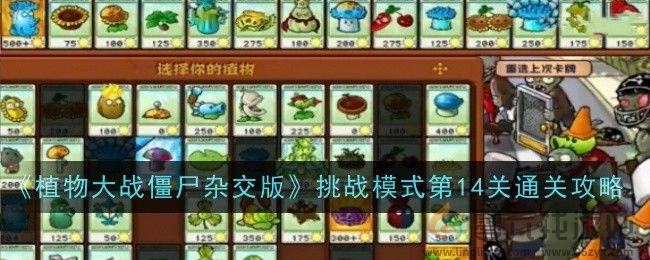 《植物大战僵尸杂交版》挑战模式第14关通关攻略(图1)