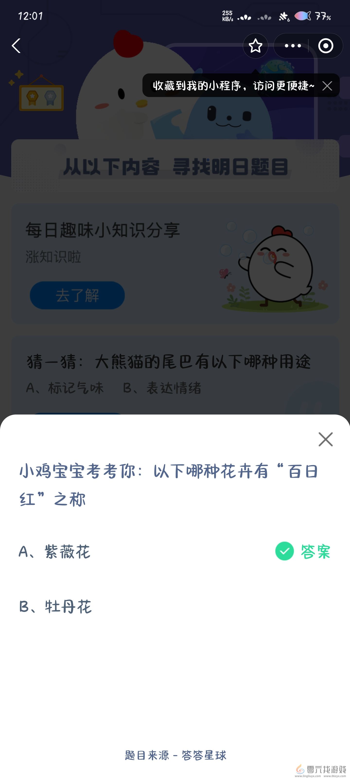 以下哪种花卉有百日红之称(图2)