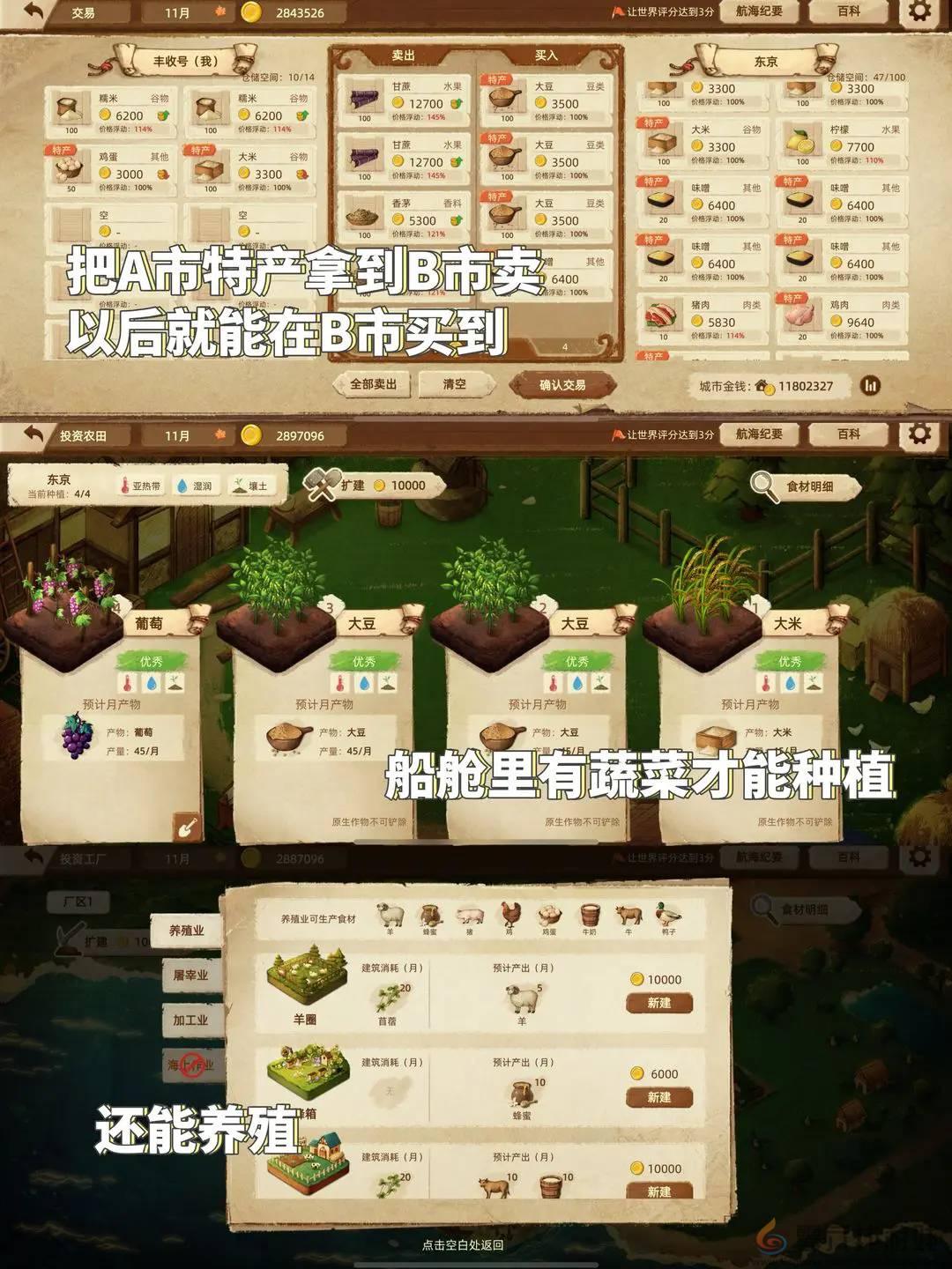 丰收之路新手快速上手攻略(图4)