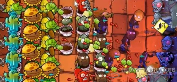 植物大战僵尸杂交版冒险模式第47关通关攻略(图5) 植物大战僵尸杂交版冒险模式第47关通关攻略(图5)