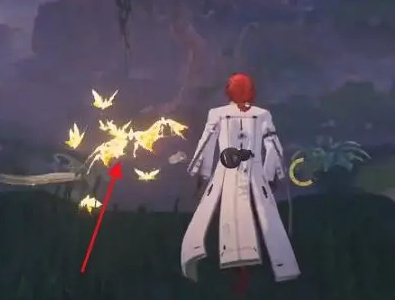 鸣潮觉林峡三个木头金色蝴蝶在哪(图7) 鸣潮觉林峡三个木头金色蝴蝶在哪(图7)