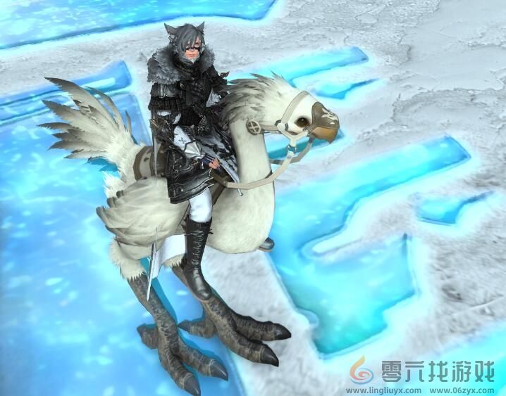 ff14专属陆行鸟获得方法(图3)