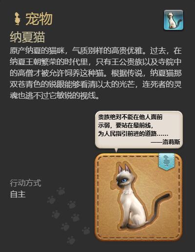 ff14纳夏猫宠物获得方法(图4)