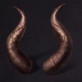 龙息神寂攻略大全(图6) 龙息神寂攻略大全(图6)