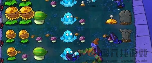 植物大战僵尸-杂交版前院告急第10关通关攻略(图5)