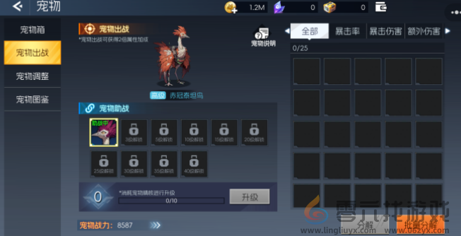 《街机恐龙》宠物一览(图2)